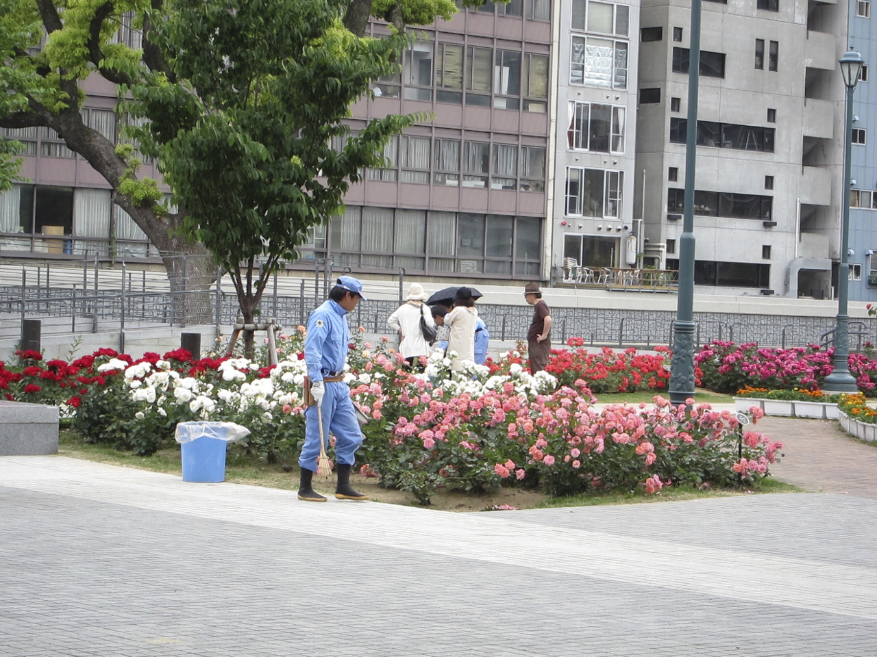 Nakanoshima Rose Garden