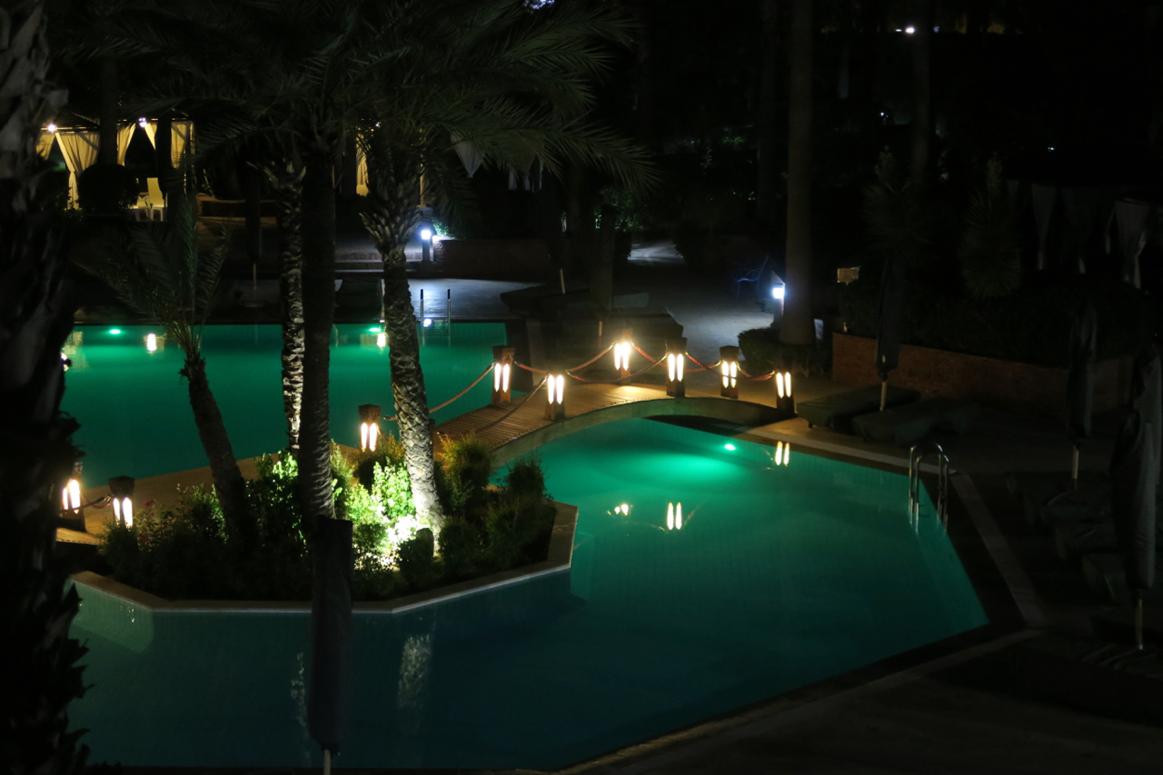 a pool with lights and palm trees at night