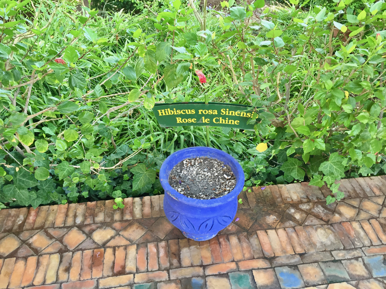 a blue pot with dirt in it next to a sign