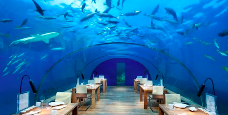 a long room with tables and chairs under a blue tunnel with fish