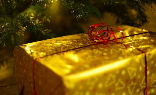 a wrapped present under a tree